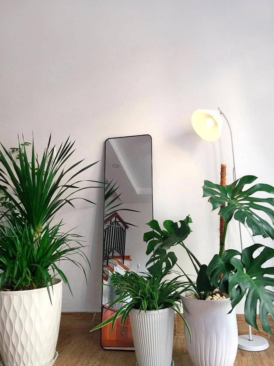 Appartement Nha Nhi Đà Lạt Extérieur photo